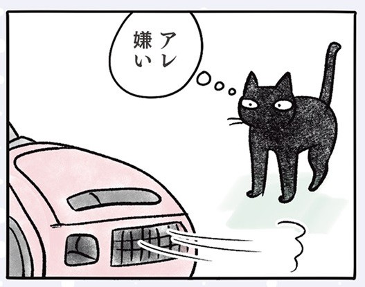 黒猫ナノとキジシロ猫きなこ