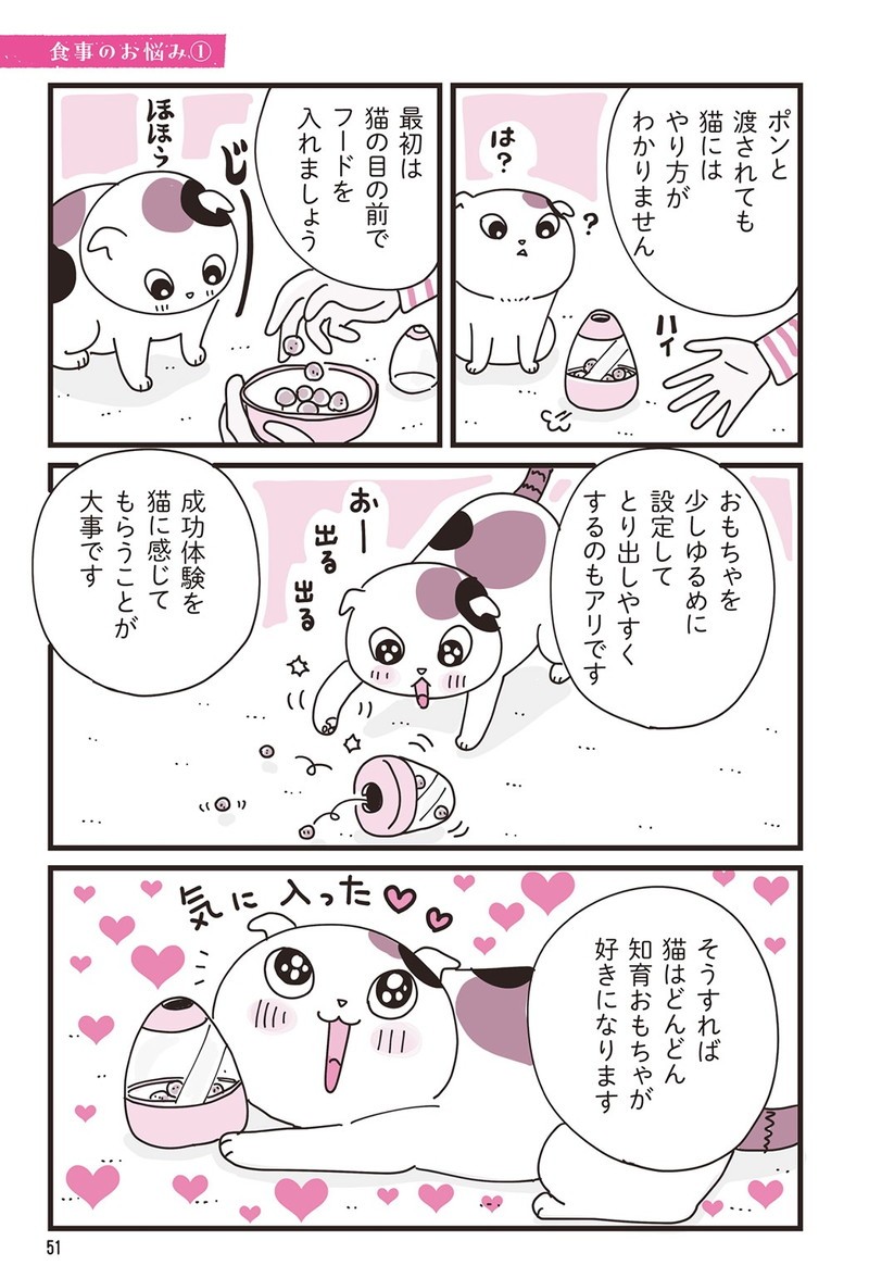 動物行動学+猫マンガ ニャン学 P51