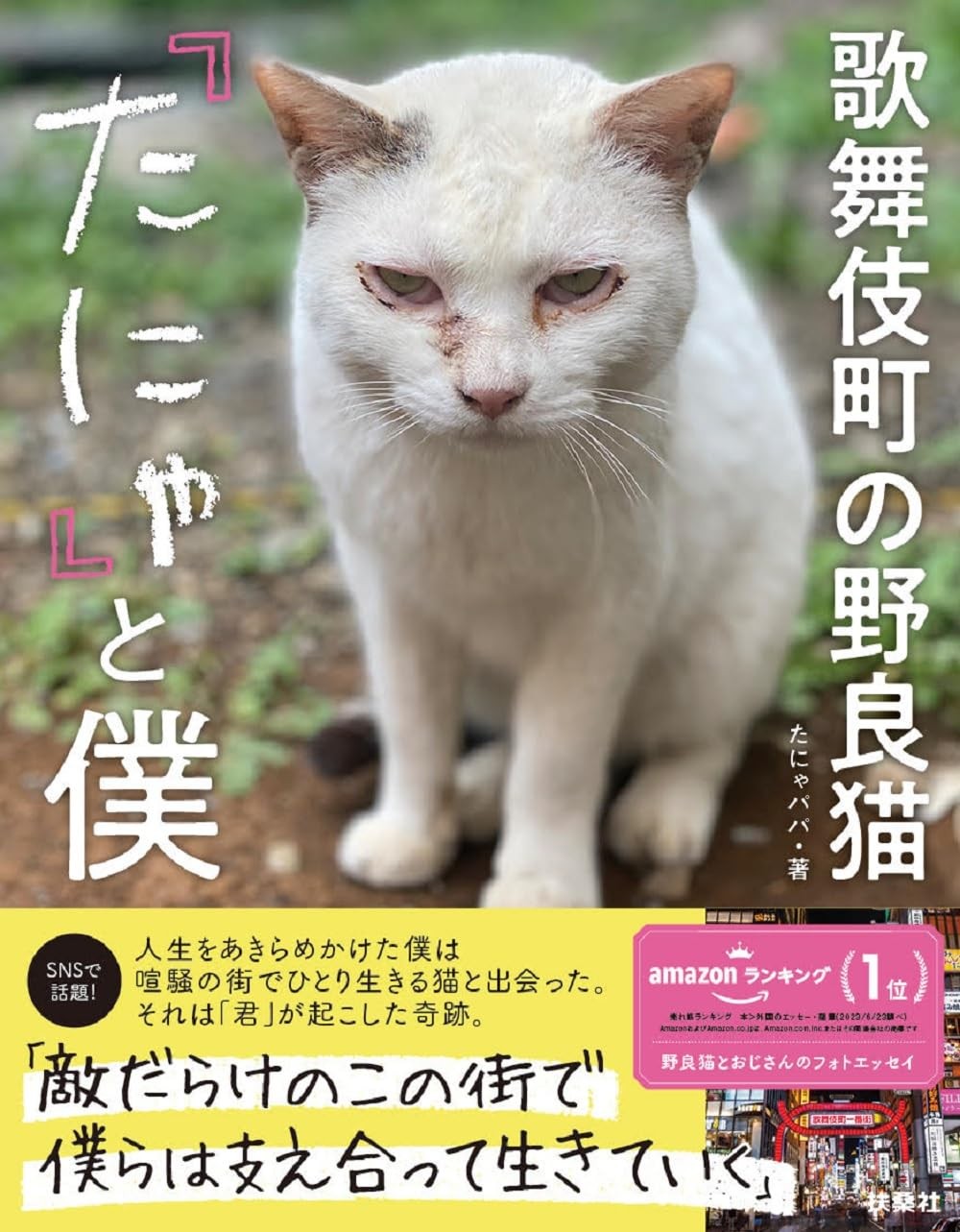 歌舞伎町の野良猫と自殺を考えていた男の出会い。心身ともにボロボロの1人と1匹が家族になる様子を描くフォトエッセイ『歌舞伎町の野良猫「たにゃ」と僕』　ダ・ヴィンチWeb
