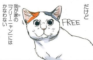 フリーWi-Fiならぬ“フリーニャン”。好きなだけ抱っこしてなでて吸って…これがタダって最高！／拾い猫のモチャ