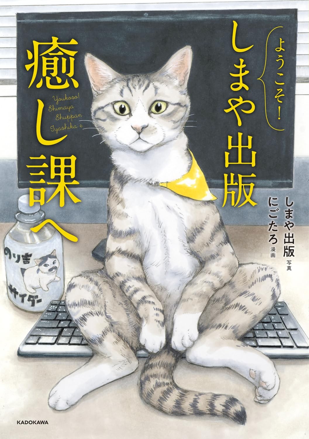8匹の猫が社員を癒してくれる出版社。東京・足立区にある「しまや出版」の日常を鮮明に映し出したフォトエッセイ　ダ・ヴィンチWeb