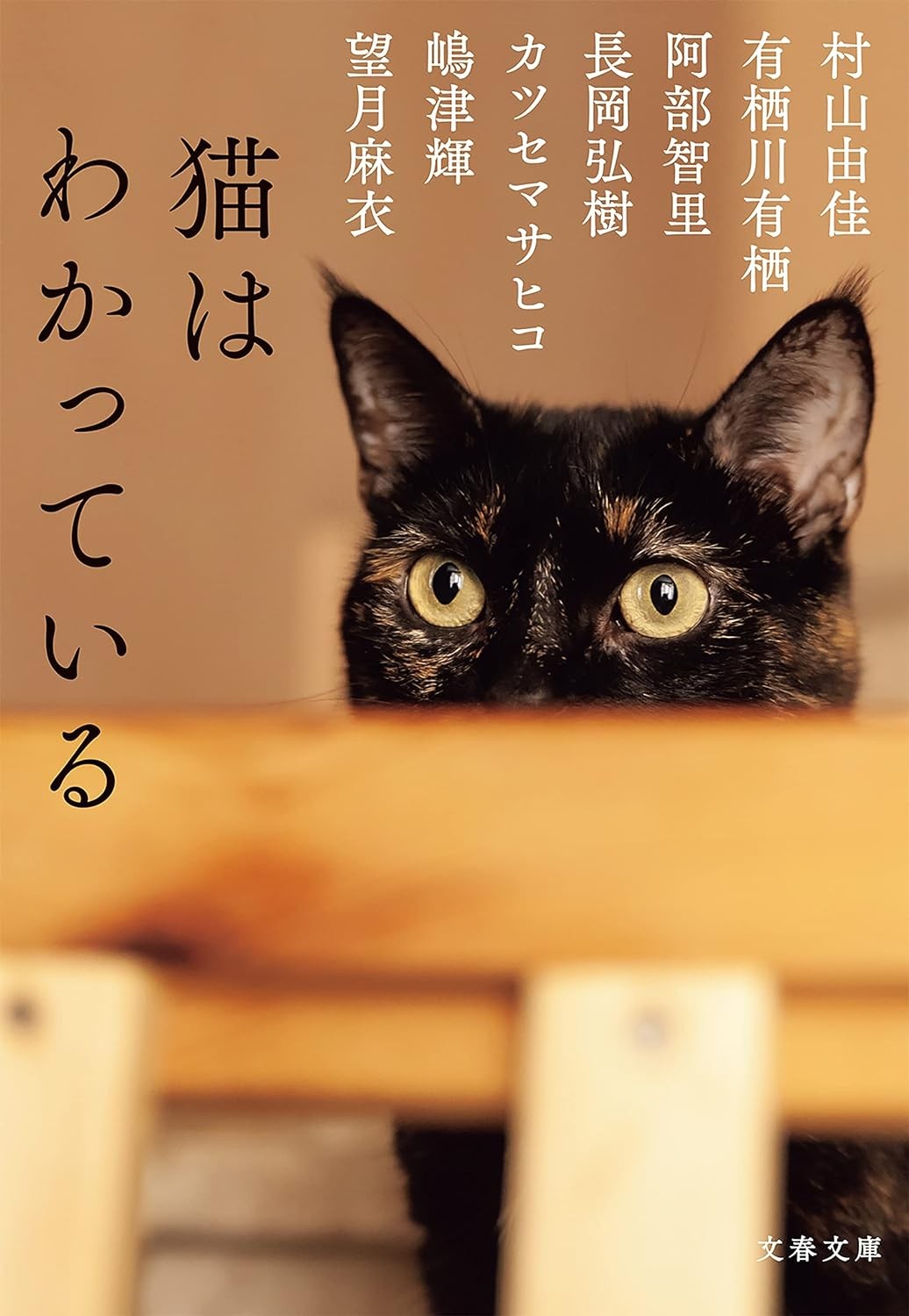 村山由佳、有栖川有栖ら７人が描く「猫」小説アンソロジー。種族の異なる生きもの同士の交流を描いた物語　ダ・ヴィンチWeb