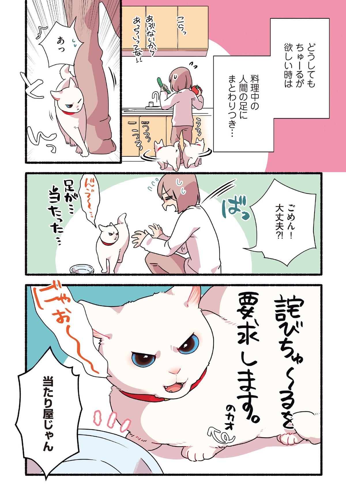 愛されたがりの白猫ミコさん