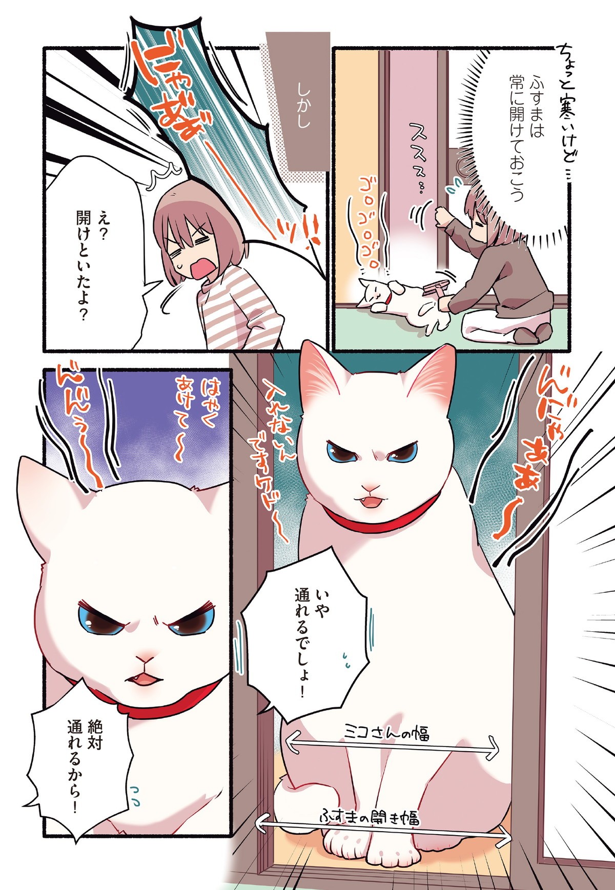 愛されたがりの白猫ミコさん