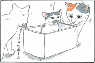 箱の潜在能力／『拾い猫のモチャ』97