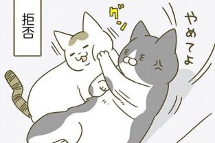 どうしても添い寝したいシノさん。ひとりで寝たいトンちゃんに拒否されると？／うちの猫がまた変なことしてる。3