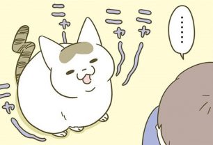 「実は猫語ですっごい暴言吐いてるとか…？」シノさんの鳴き声を翻訳してみた／うちの猫がまた変なことしてる。3