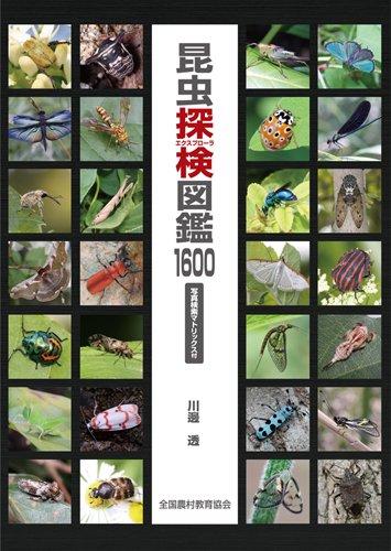 『昆虫探検図鑑1600』（川邊透/全国農村教育協会）